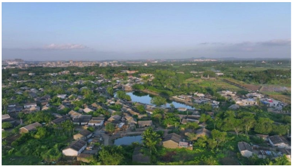 椰雕等非遗, 澄迈森林覆 椰雕等非遗, 澄迈森林覆